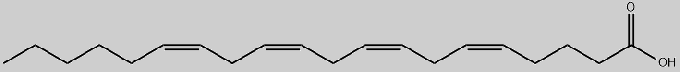 Arachidonsäure-Struktur