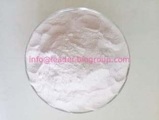 China Biggest Manufacturer Factory Supply Undecanedioic Acid CAS 1852-04-6 Inquiry: info@leader-biogroup.com