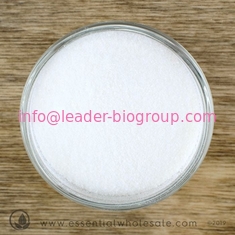 China Largest Factory Manufacturer Inulin CAS 9005-80-5 For stock delivery