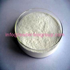 China Northwest Factory Manufacturer Rosmarinic Acid CAS 20283-92-5 For stock delivery