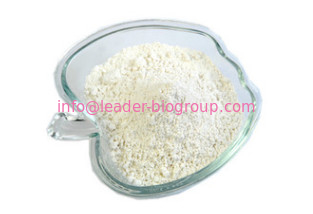 China Largest Factory Manufacturer Nicotinamide-adenine Dinucleotide CAS 606-68-8 For stock delivery