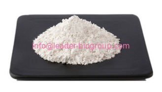 The World Largest Manufacturer Factory Supply Propionyl-L-Carnitine Hydrochloride CAS 119793-66-7