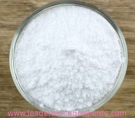 China-Nordwestfabrik-Hersteller Myristyl Glutamic Acid für Lieferung auf Lager