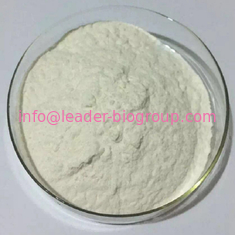 China Largest Factory Manufacturer Nattokinase CAS 133876-92-3 For stock delivery