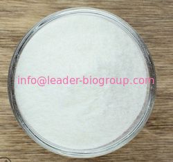 Hersteller-Factory Supply Potassium-polyacrylate CAS 25608-12-2 Chinas größtes