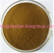 China biggest Manufacturer Factory Supply Ginseng Root Extract