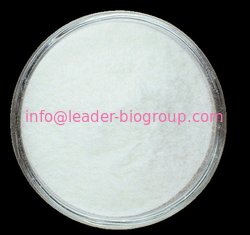 China Sources Factory Supply Syringaresinol-di-O-glucoside CAS 66791-77-3 Inquiry: Info@Leader-Biogroup.Com