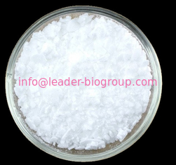 China Sources Factory Supply Bisandrographolide C CAS 160498-02-2 Inquiry: Info@Leader-Biogroup.Com