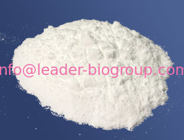 China Biggest Manufacturer Factory Supply Lithium Phosphate CAS 10377-52-3 Inquiry: info@leader-biogroup.com