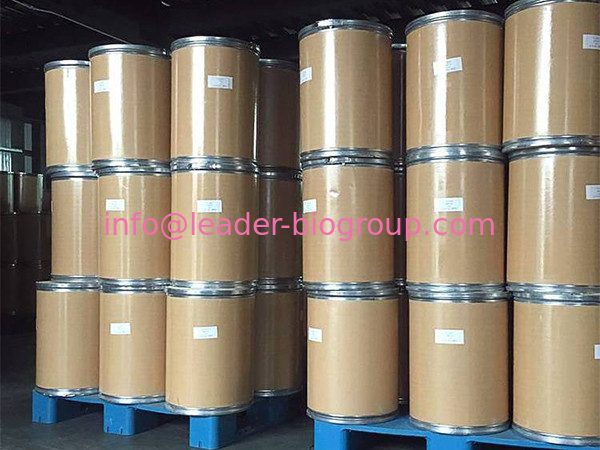 China Largest Manufacturer Factory Supplier Supply Silk Sericin/Silk Sericin Powder/ Sericin Powder CAS 60650-89-7