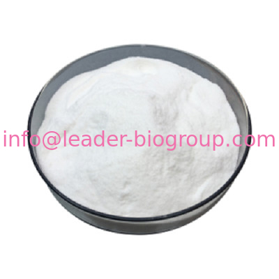 China Largest Manufacturer Factory Supplier Supply Silk Sericin/Silk Sericin Powder/ Sericin Powder CAS 60650-89-7