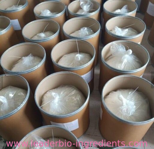 China-Nordwestfabrik-Hersteller-L-Glutathion Reduced/GSH Cas 70-18-8 für Lieferung auf Lager