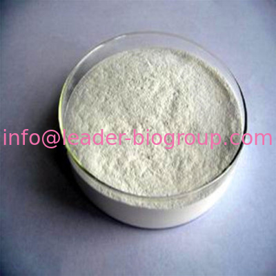China Northwest Factory Manufacturer Rosmarinic Acid CAS 20283-92-5 For stock delivery