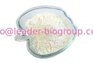 China Largest Factory Manufacturer Nicotinamide-adenine Dinucleotide CAS 606-68-8 For stock delivery