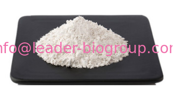 The World Largest Manufacturer Factory Supply Propionyl-L-Carnitine Hydrochloride CAS 119793-66-7