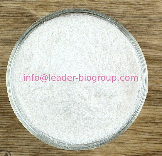 China Northwest Factory Manufacturer Papain CAS 9001-73-4 For stock delivery