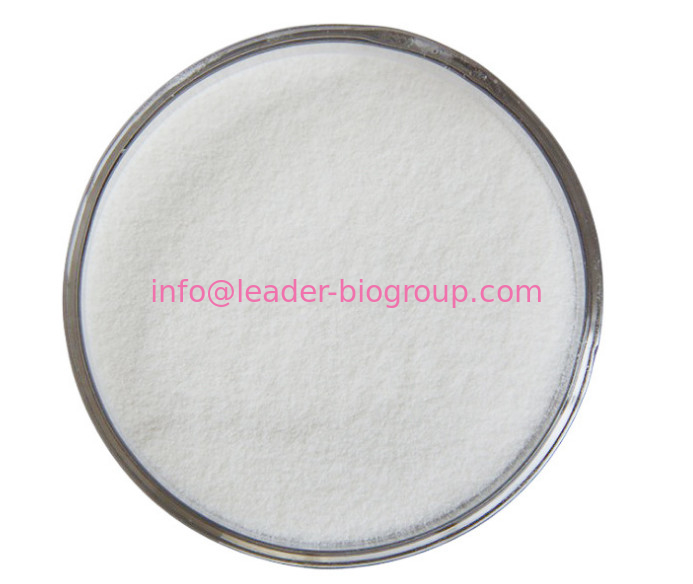 China Largest Factory Manufacturer L-Glutamic Acid CAS 56-86-0  For stock delivery