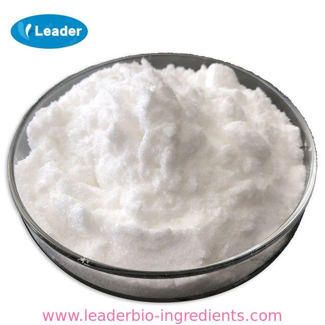 Größter Fabrik-Hersteller Sodium Stearoyl Lactylate CAS 25383-99-7 Chinas für Lieferung auf Lager