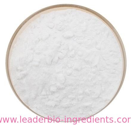 Hersteller-Factory Supply-L-Rhamnose-Monohydrat CAS 6155-35-7 Chinas größtes