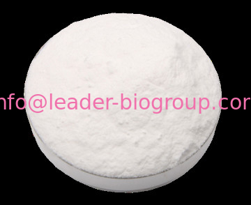 China biggest Manufacturer Factory TAUROURSODEOXYCHOLIC ACID SODIUM SALT(TUDCA)  CAS 35807-85-3