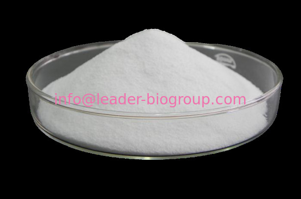 China Largest Factory Manufacturer Oleuropein CAS 32619-42-4 For stock delivery