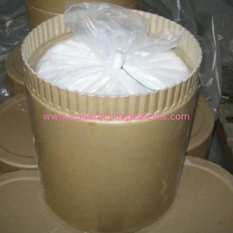 Größter Hersteller Factory Supply 2,5-Di-tert-butylhydroquinone CAS 88-58-4 Chinas