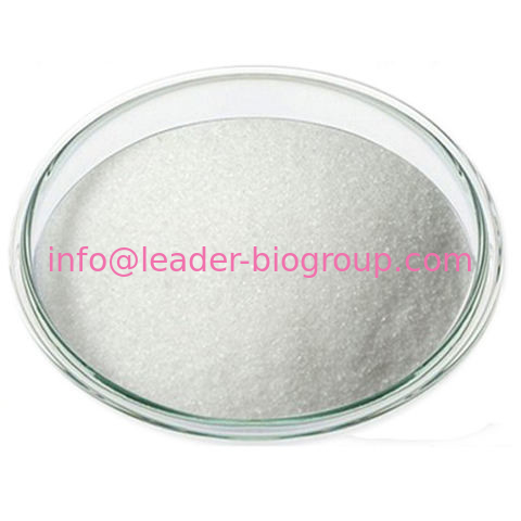 China biggest Manufacturer Factory Supply 2-Acetyl-3-ethylpyrazine  CAS 32974-92-8
