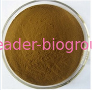 China biggest Manufacturer Factory Supply Ginseng Root Extract