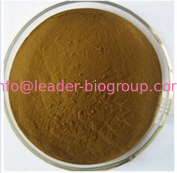 China biggest Manufacturer Factory Supply Ginseng Root Extract