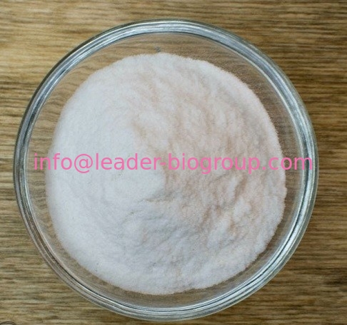 Untersuchung China-Quellfabrik-u. -hersteller-Supply Cinnamic Acids CAS 621-82-9: Info@Leader-Biogroup.Com