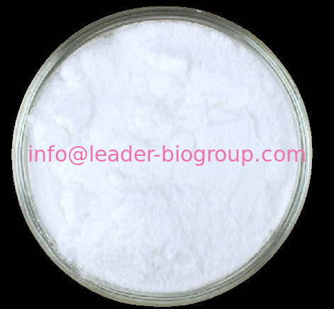 China Sources Factory Supply Schisandrin B CAS 61281-37-6 Inquiry: Info@Leader-Biogroup.Com