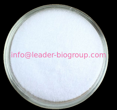 China biggest Factory Manufacturer Supply CAS: 732-26-3  12,4,6-Tri-tert-butylphenol  Inquiry: Info@Leader-Biogroup.Com