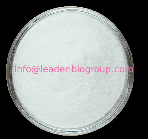 China Sources Factory Supply Syringaresinol-di-O-glucoside CAS 66791-77-3 Inquiry: Info@Leader-Biogroup.Com