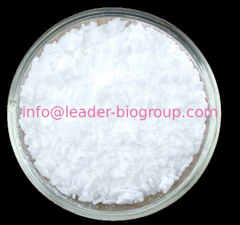 China Sources Factory Supply Bisandrographolide C CAS 160498-02-2 Inquiry: Info@Leader-Biogroup.Com