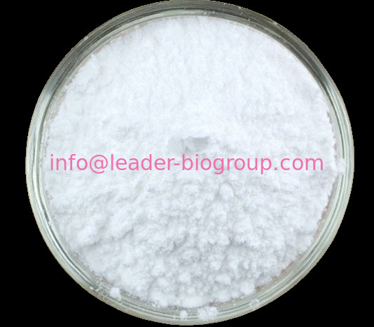 China Sources Factory Supply galloylpaeoniflorin CAS 122965-41-7 Inquiry: Info@Leader-Biogroup.Com