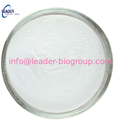 Größter Fabrik-Hersteller Supply CAS Chinas: 128-39-2 Untersuchung 2,6-Di-tert-butylphenol: Info@Leader-Biogroup.Com